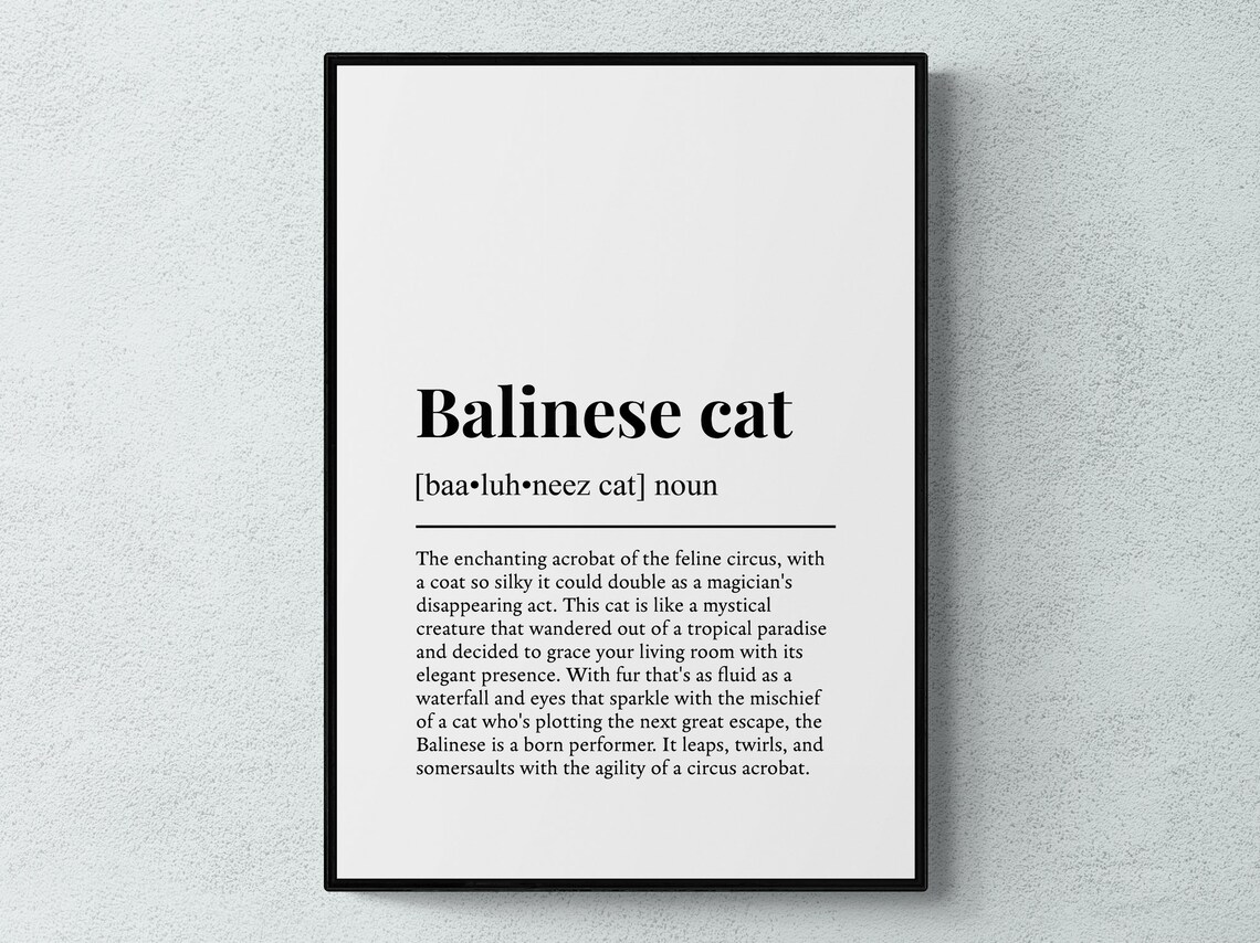 Balinese Cat Funny Definition Breed Print Feline Lover Gift Wall Art Poster
