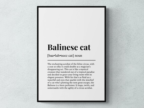 Balinese Cat Funny Definition Minimalist Dictionary Word Art Poster