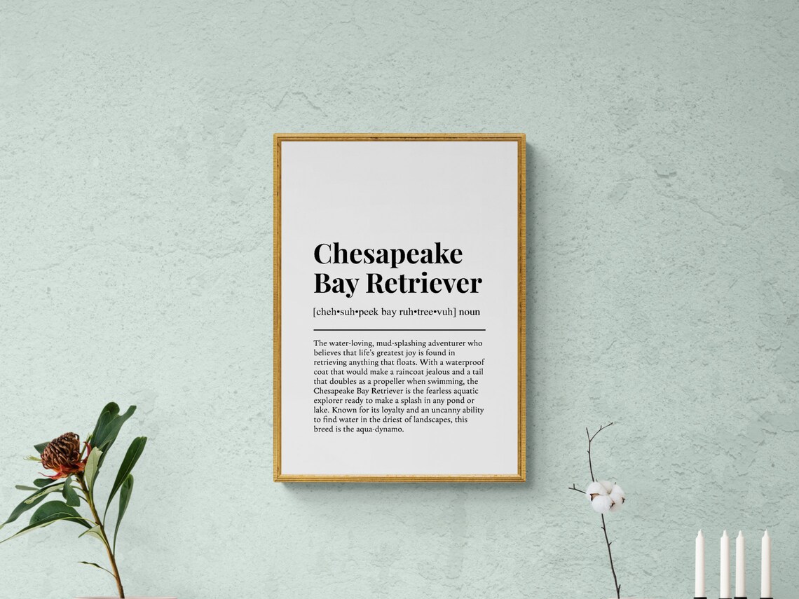 Chesapeake Bay Retriever Funny Dog Wall Art Print - Image 2