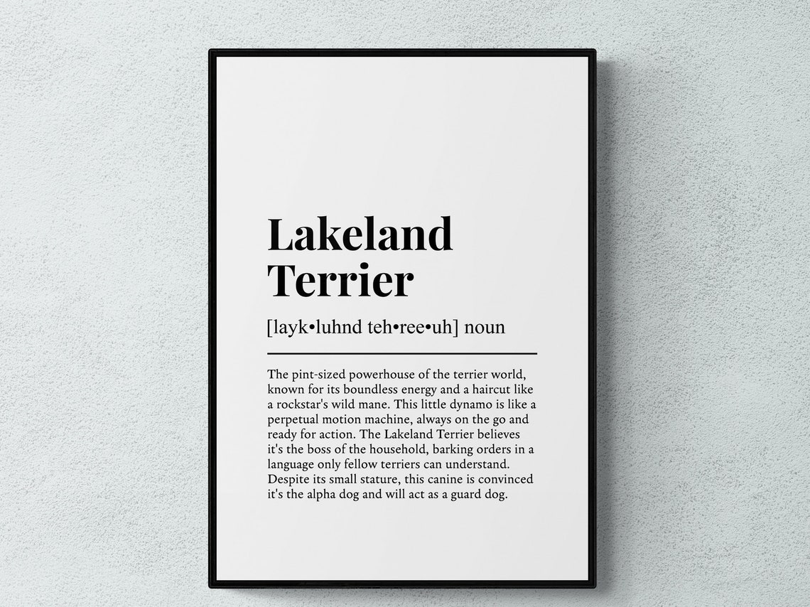 Lakeland Terrier Funny Definition Dictionary Style Minimalist Print
