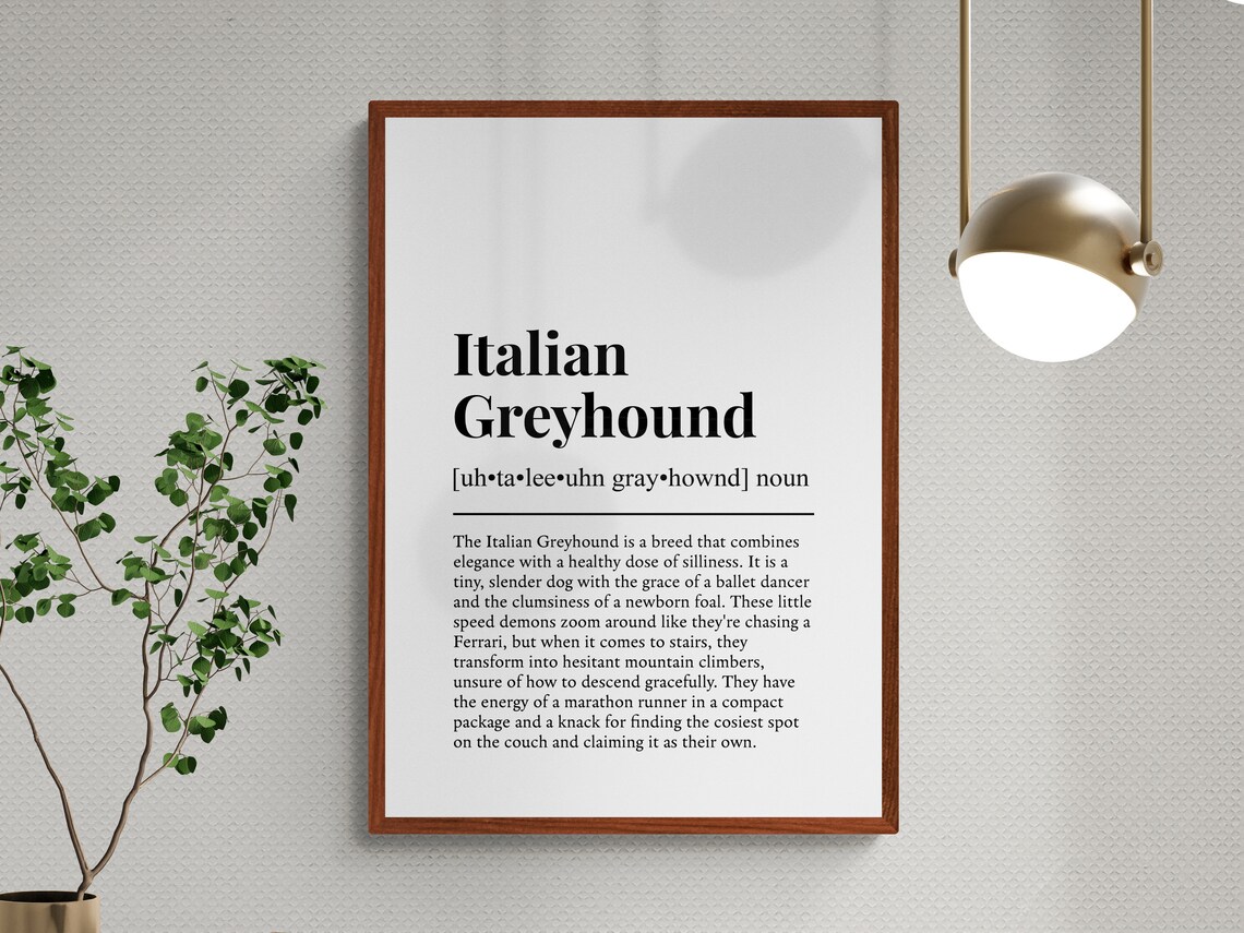 Italian Greyhound Funny Definition Art Print - Image 3