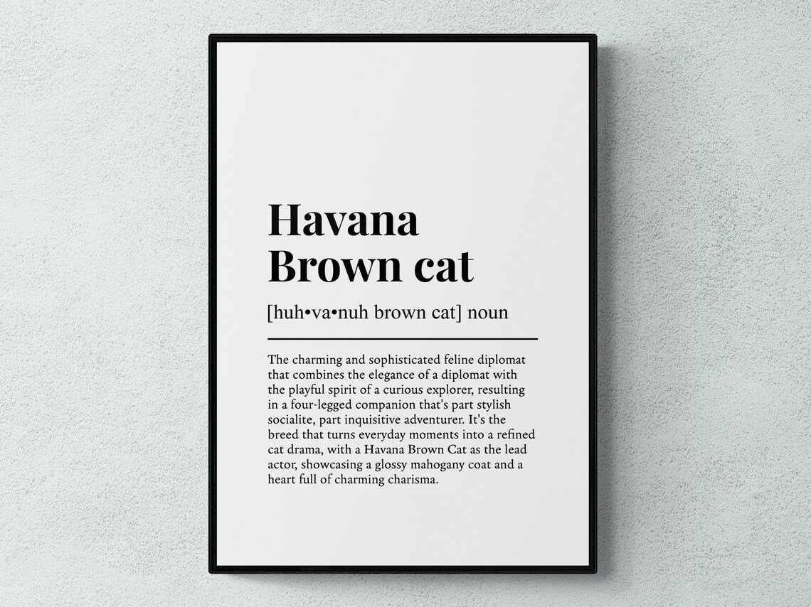 Havana Brown Cat Funny Definition Noun Dictionary Art Cat Lover Gift Print