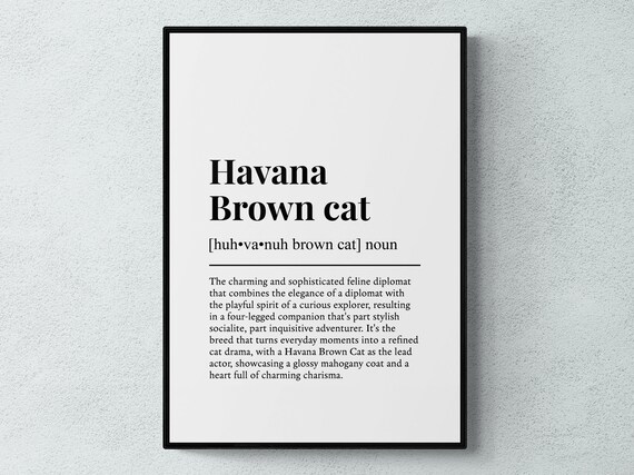 Havana Brown Cat Funny Definition Noun Dictionary Art Cat Lover Gift Print