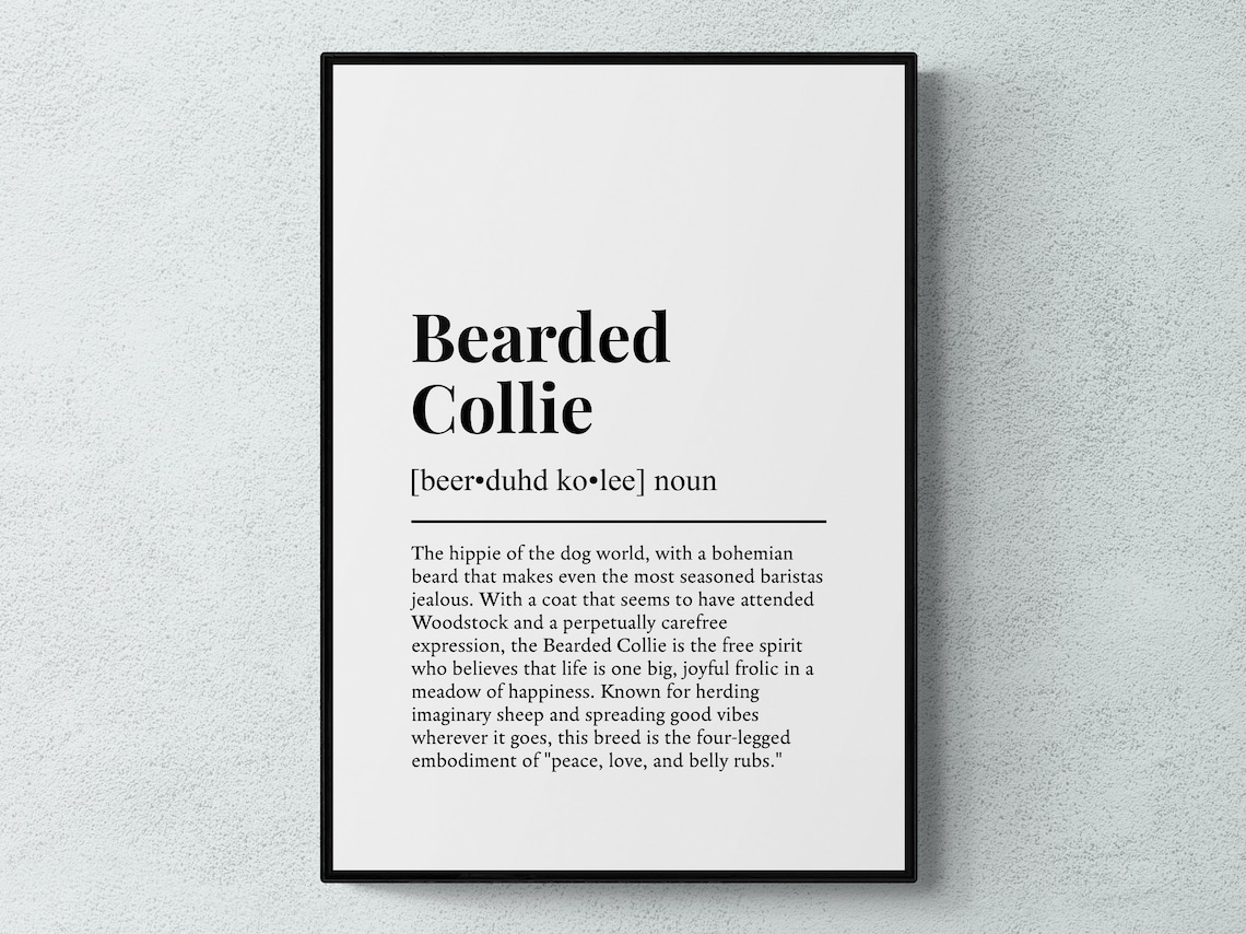 Bearded Collie Funny Definition Dog Poster Print