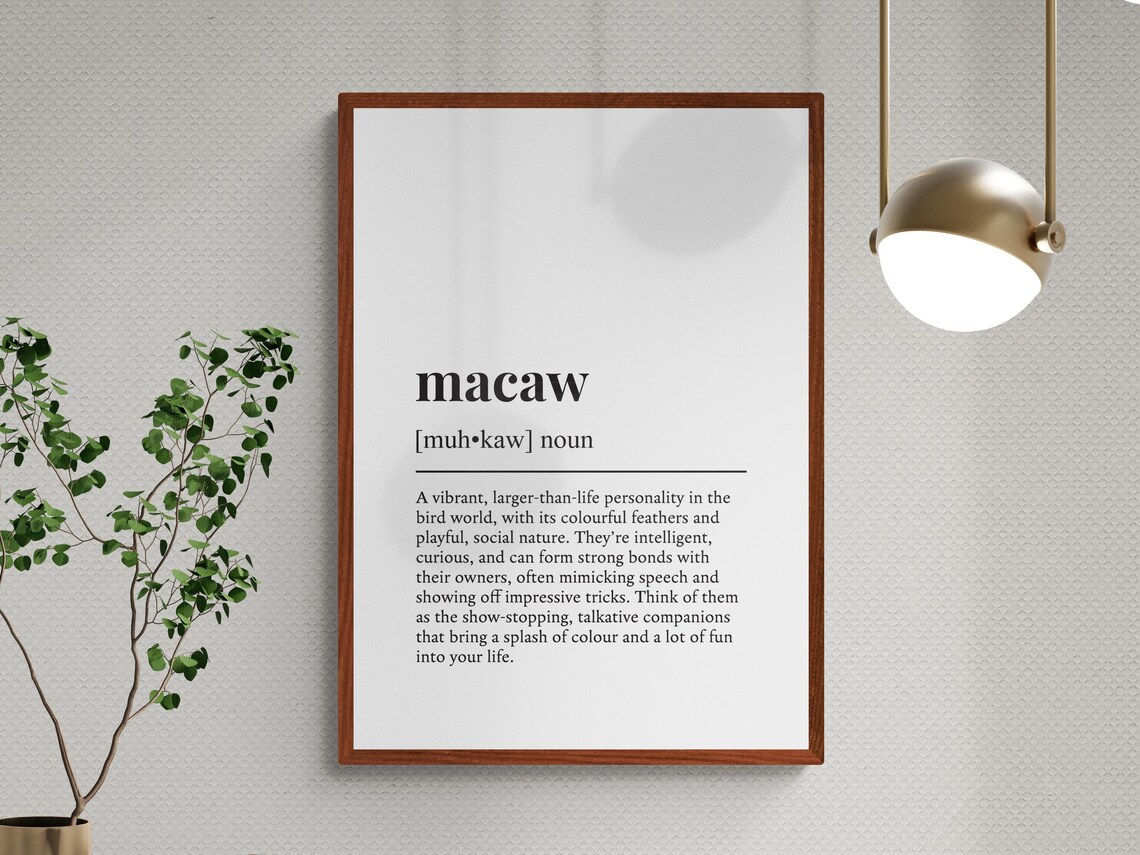 Macaw Funny Definition Pet Gift Wall Art Print - Image 3