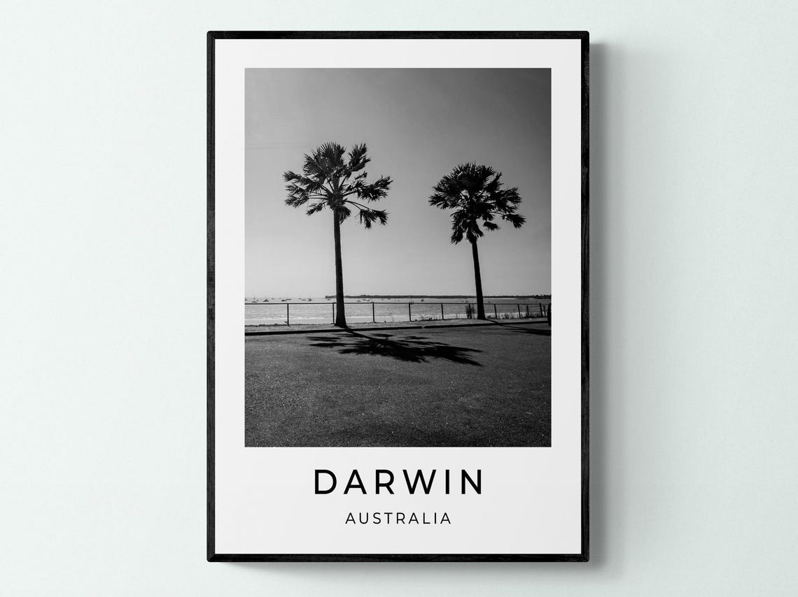 Darwin Australia Palm Trees Waterfront Esplanade Black White Poster
