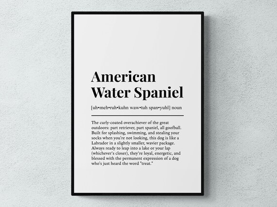 Water Spaniel Funny Definition Dog Wall Art Print