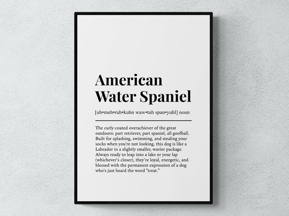 Water Spaniel Funny Definition Dog Wall Art Print