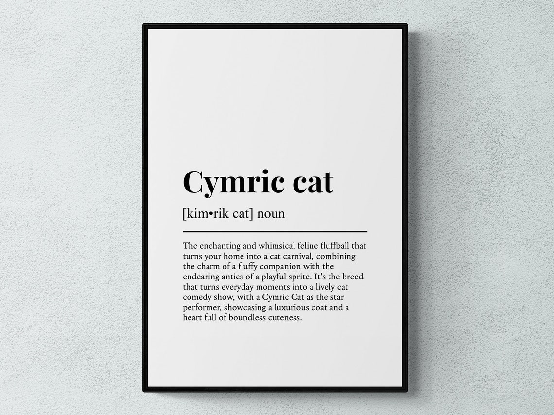 Cymric Cat Funny Dictionary Definition Fluffy Feline Breed Poster