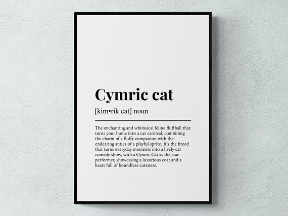 Cymric Cat Funny Dictionary Definition Fluffy Whimsical Minimalist Poster