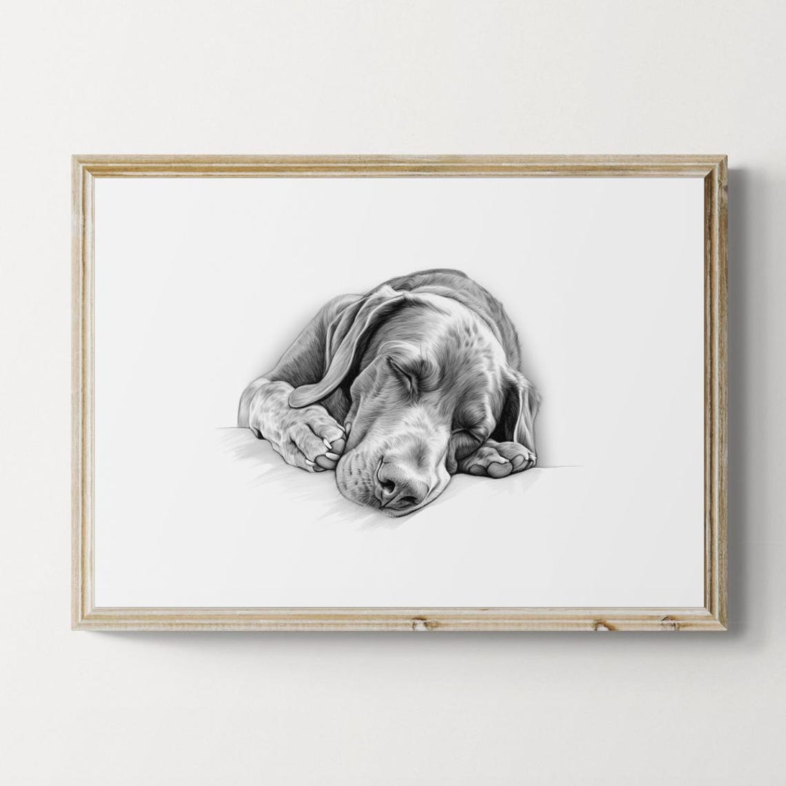 Sleeping German Shorthaired Pointer Pencil Sketch Farmhouse Poster