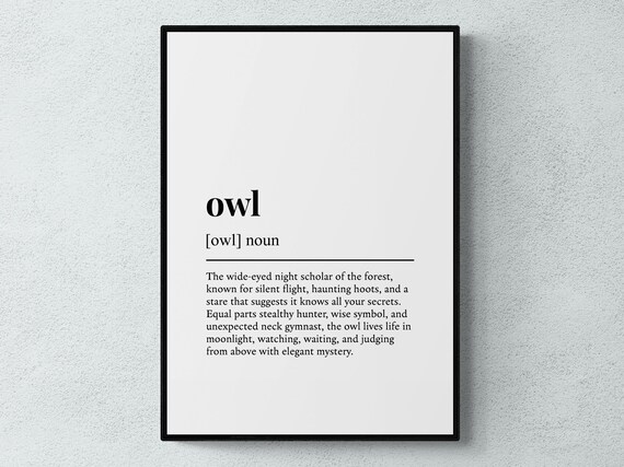 Owl Funny Definition Gift Wall Art Print