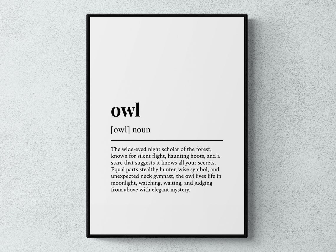 Owl Dictionary Definition Art Poster Funny Bird Animal Wall Decor