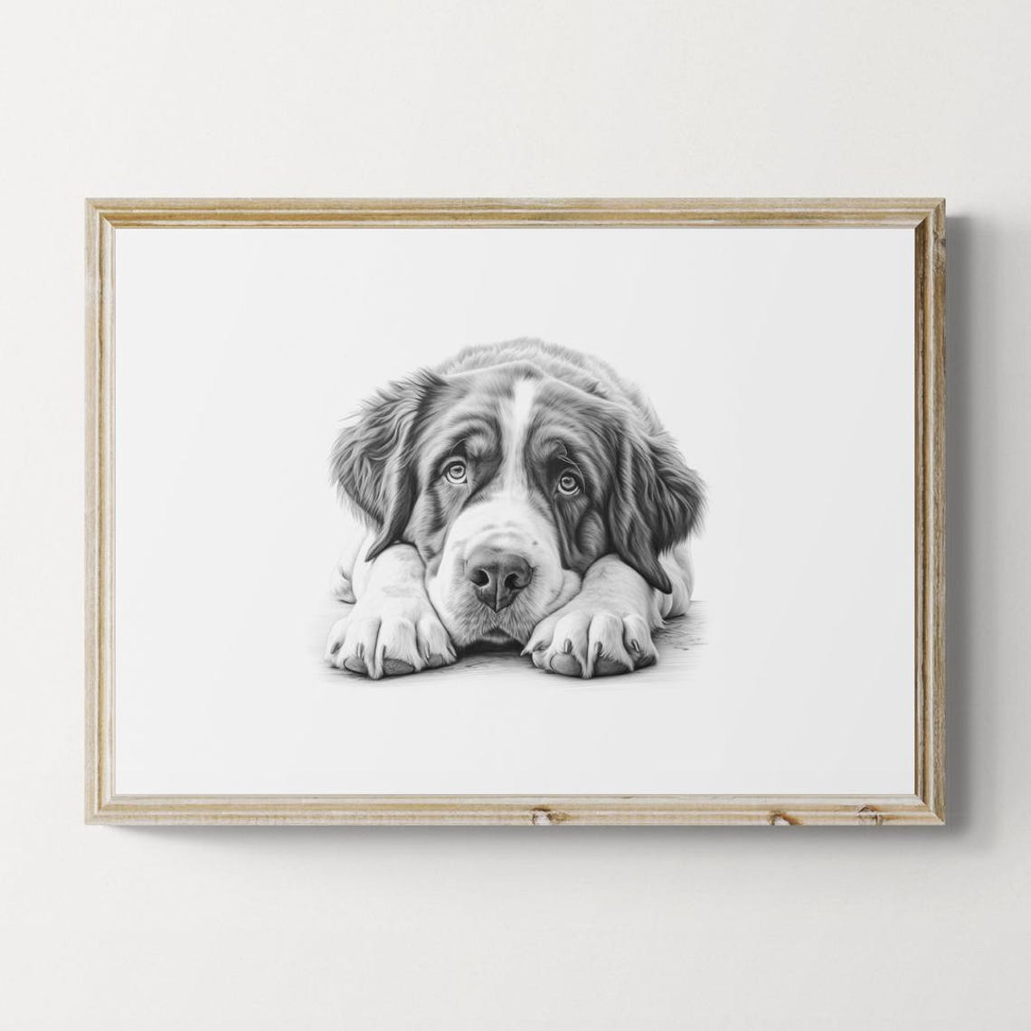 St Bernard Dog Gentle Puppy Paws Sketch Vintage Farmhouse Dog Poster