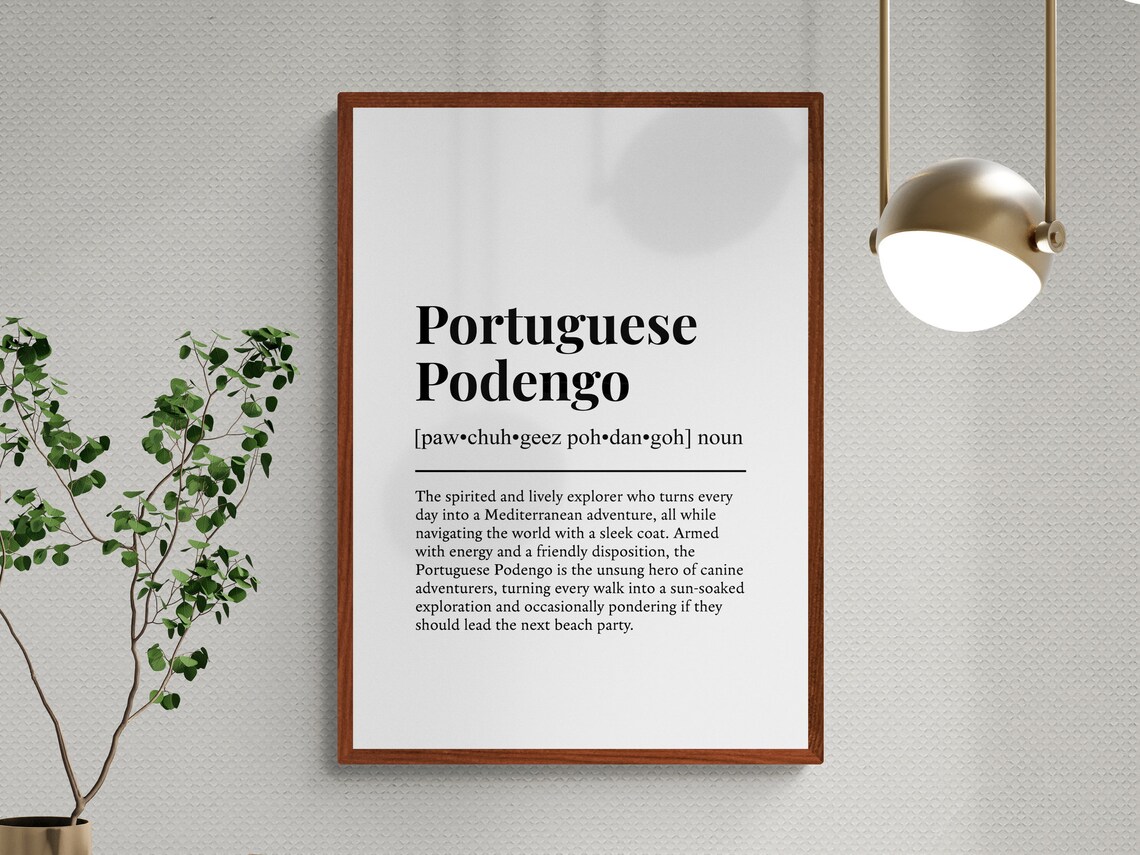 Portuguese Podengo Funny Definition Art Print - Image 3