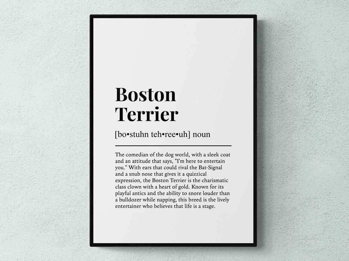 Boston Terrier Funny Definition Art Print