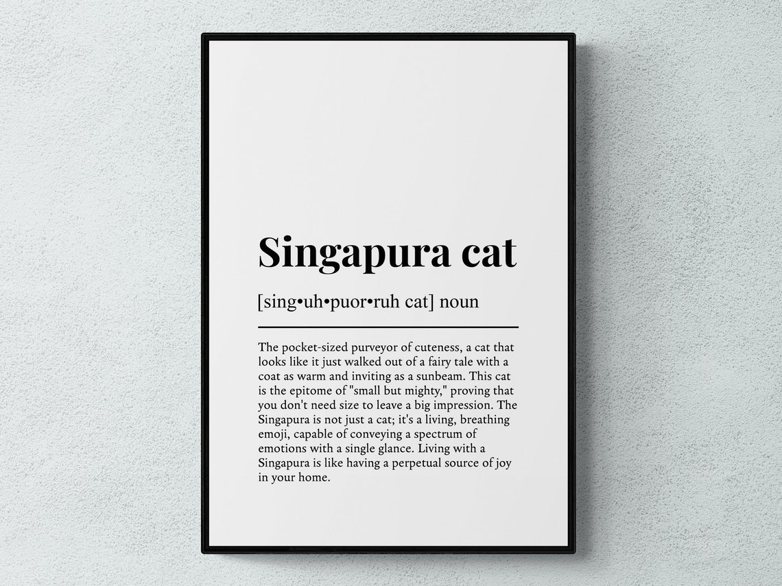 Singapura Cat Funny Definition Minimalist Dictionary Word Art Poster