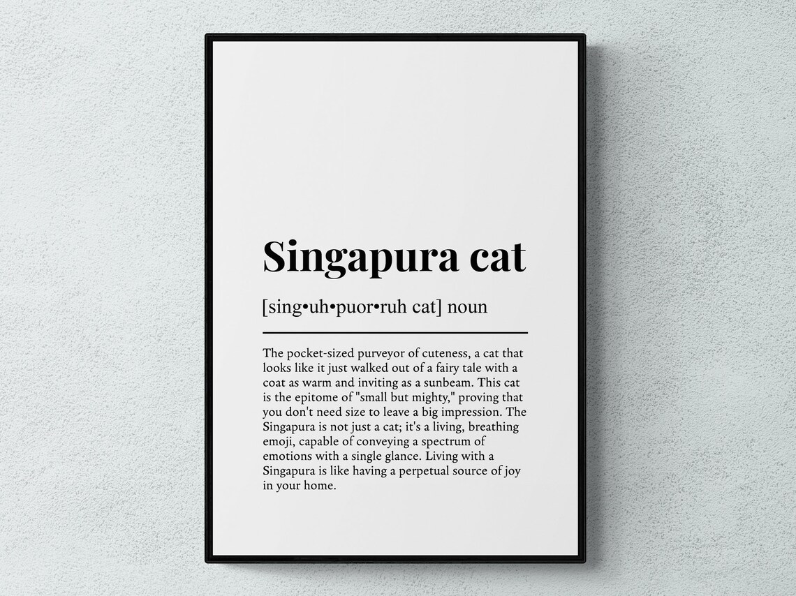 Singapura Cat Funny Definition Small Breed Dictionary Wall Art Print Poster