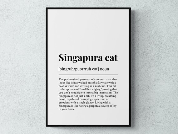 Singapura Cat Funny Definition Minimalist Dictionary Word Art Poster