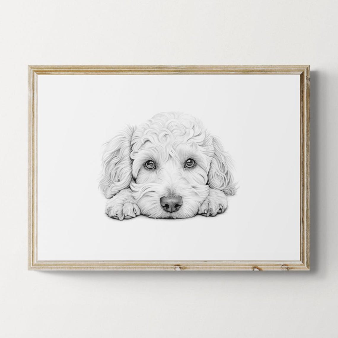 Poodle Cute Curly Puppy Sketch Monochrome Farmhouse Decor Dog Poster