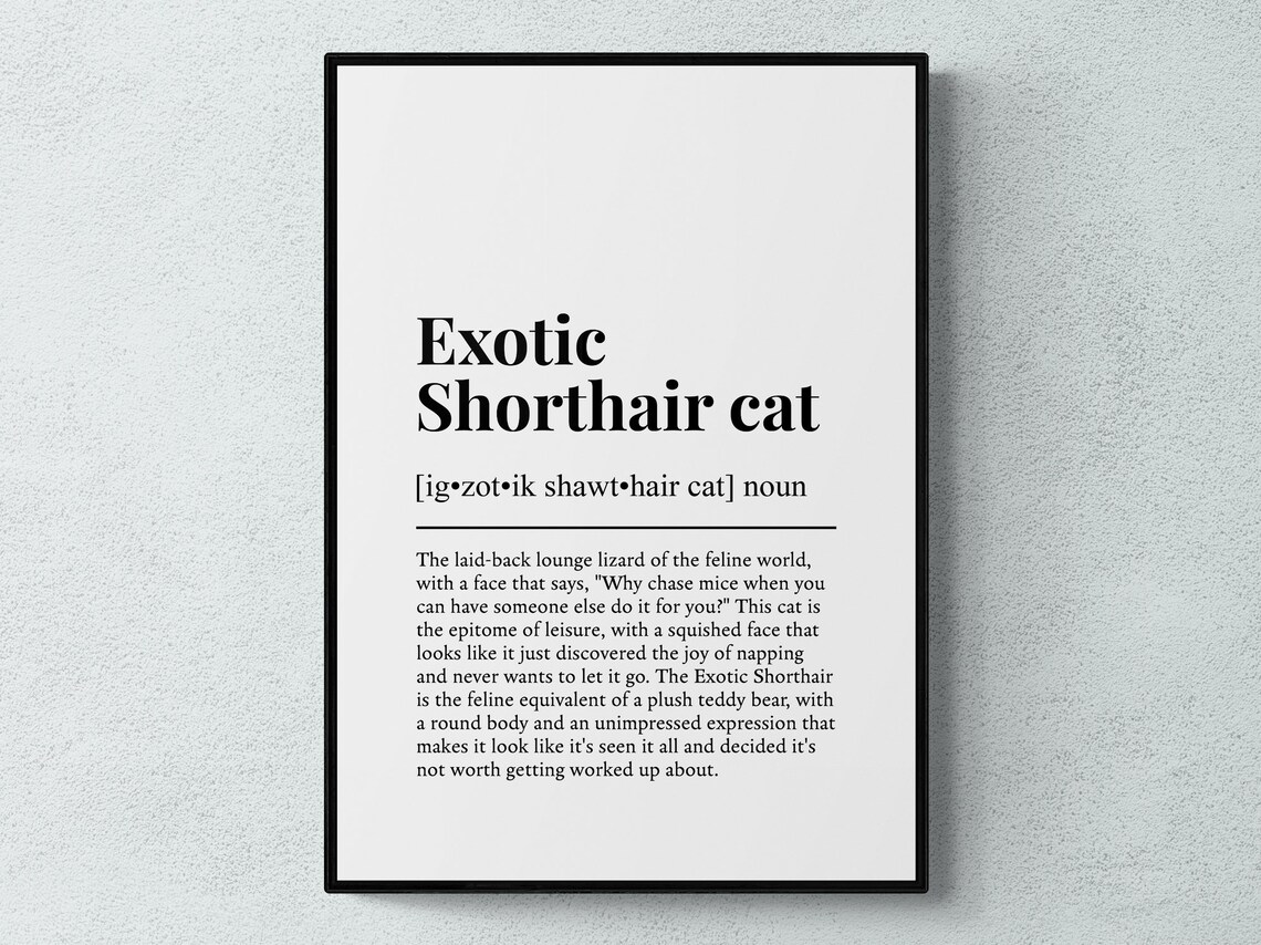 Exotic Shorthair Cat Funny Definition Art Print