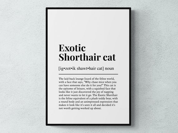 Exotic Shorthair Cat Funny Definition Art Print