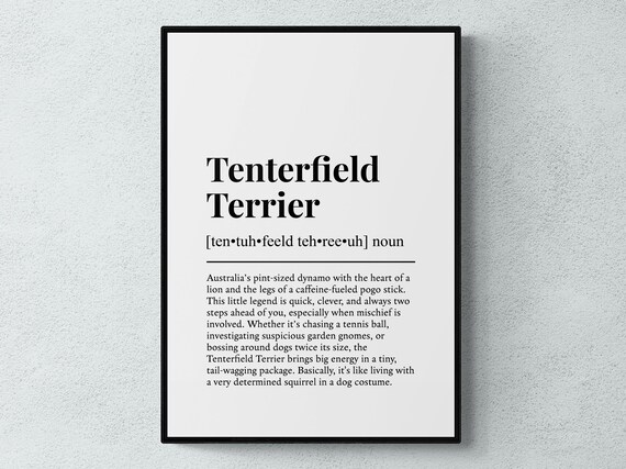 Tenterfield Terrier Funny Definition Dog Wall Art Print