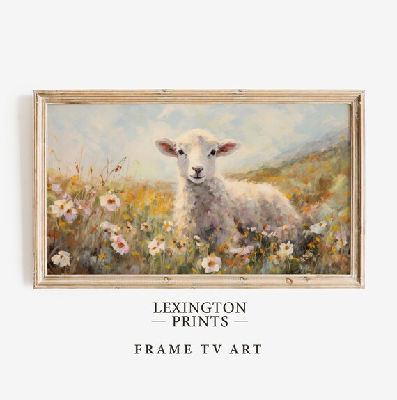 White Lamb in Wildflower Meadow Spring Scene Frame TV Art Poster