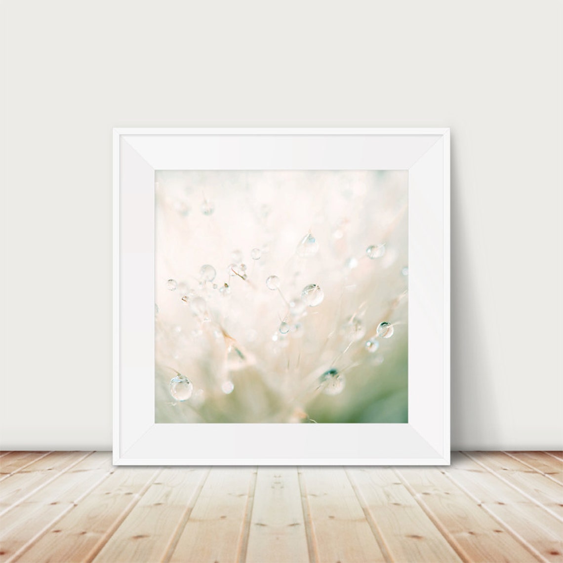 Dandelion Dew Drop Photograph Abstract Nature Art Print