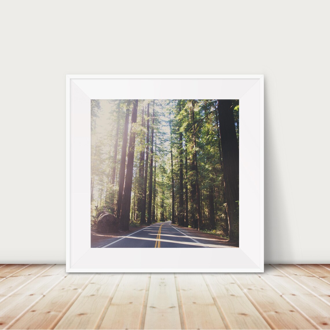 Sunlit Road Through Giant Redwoods Avenue Of The Giants Poster