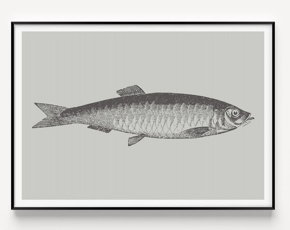 Fish Minimalist Art Print