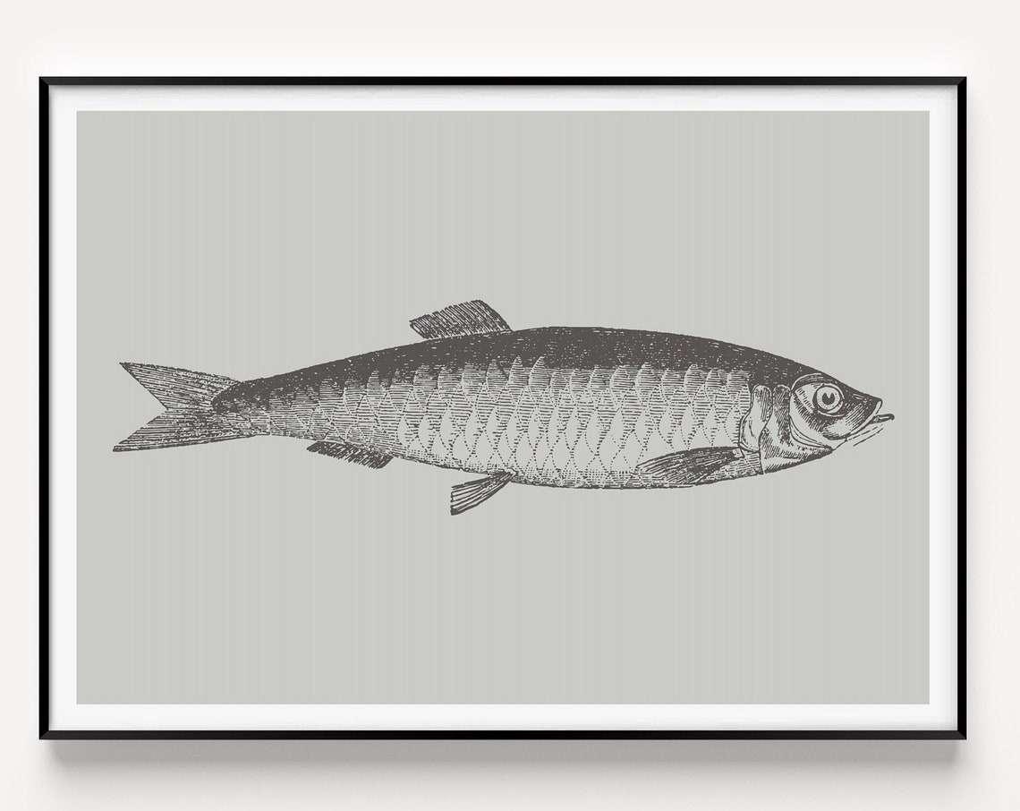 Fish Minimalist Art Print
