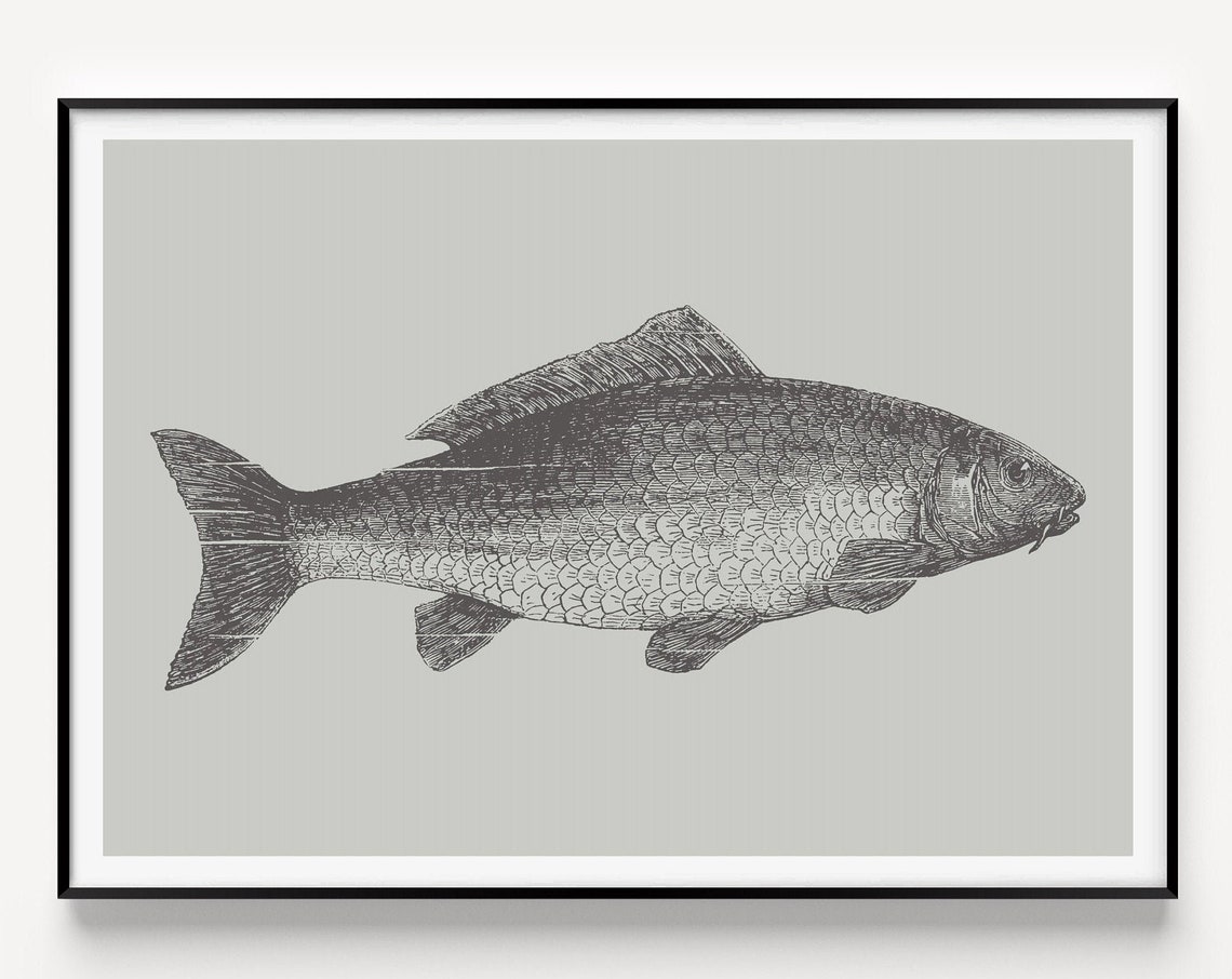 Fish Wall Art Print Grey Gift Poster Minimalist