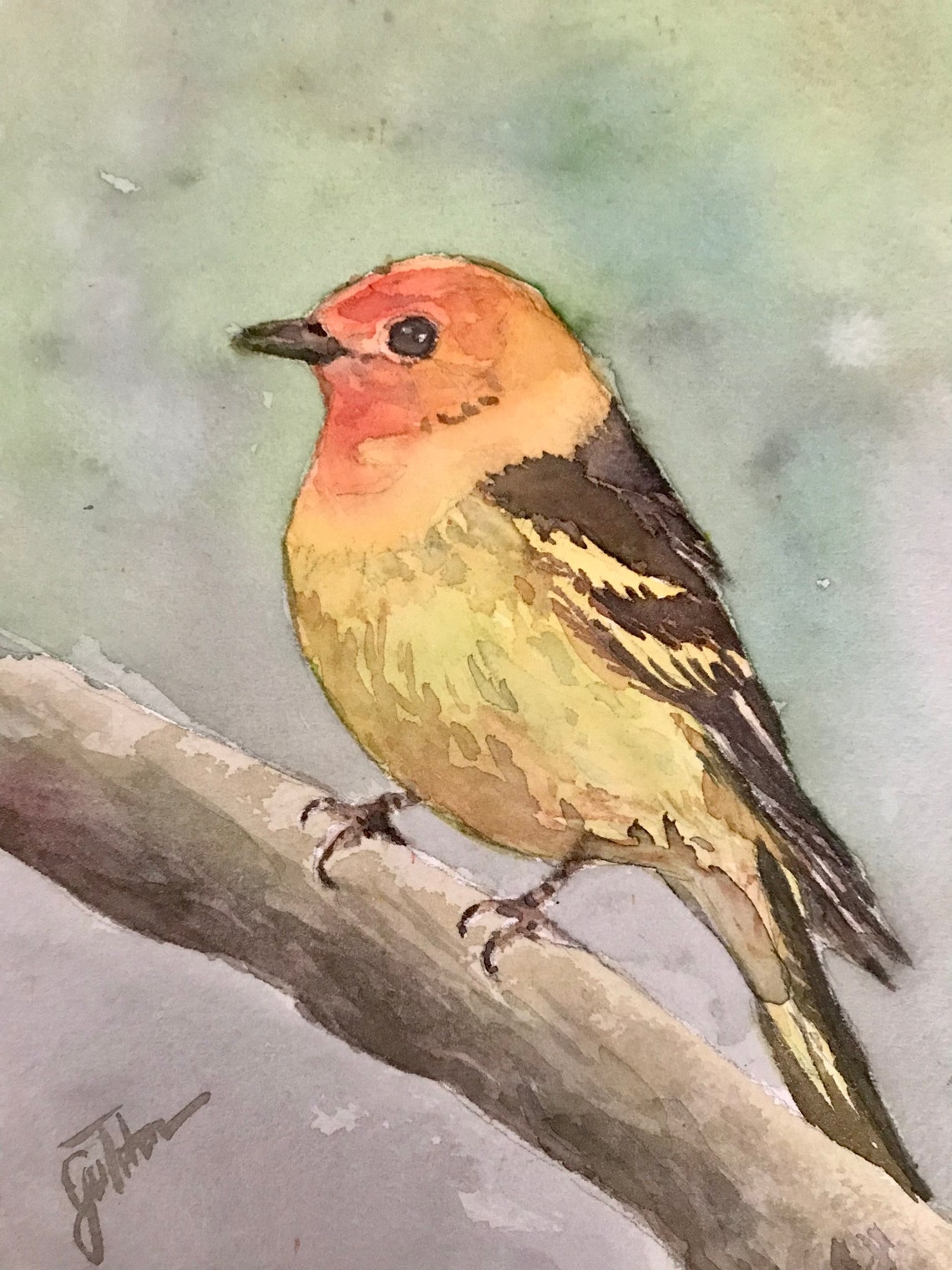 Western Tanager Songbird on Branch Watercolor Bird Art Poster - Image 3