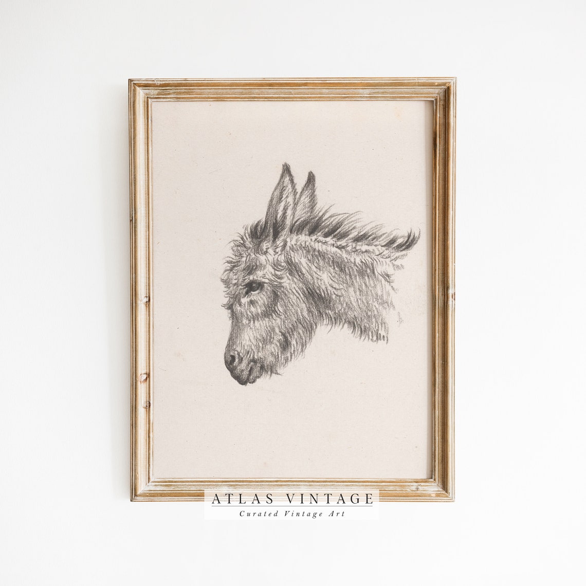 Antique Pencil Sketch Of Donkey Head Minimalist Animal Study Poster