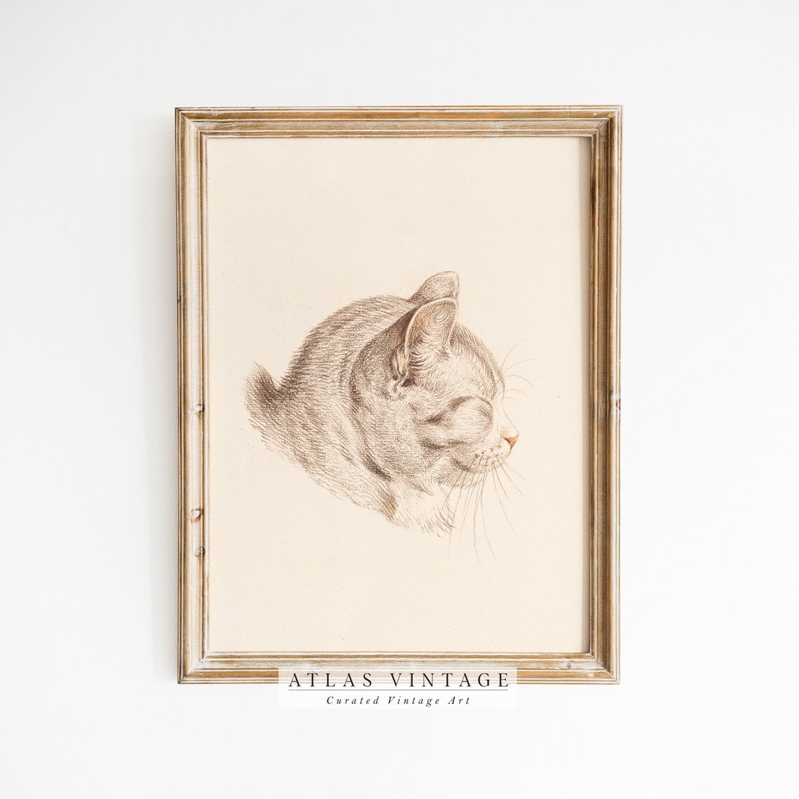 Antique Cat Painting Girls Room Animal Dcor Vintage Nursery Wall Art Rustic Farmhouse French Country Wall Dcor
