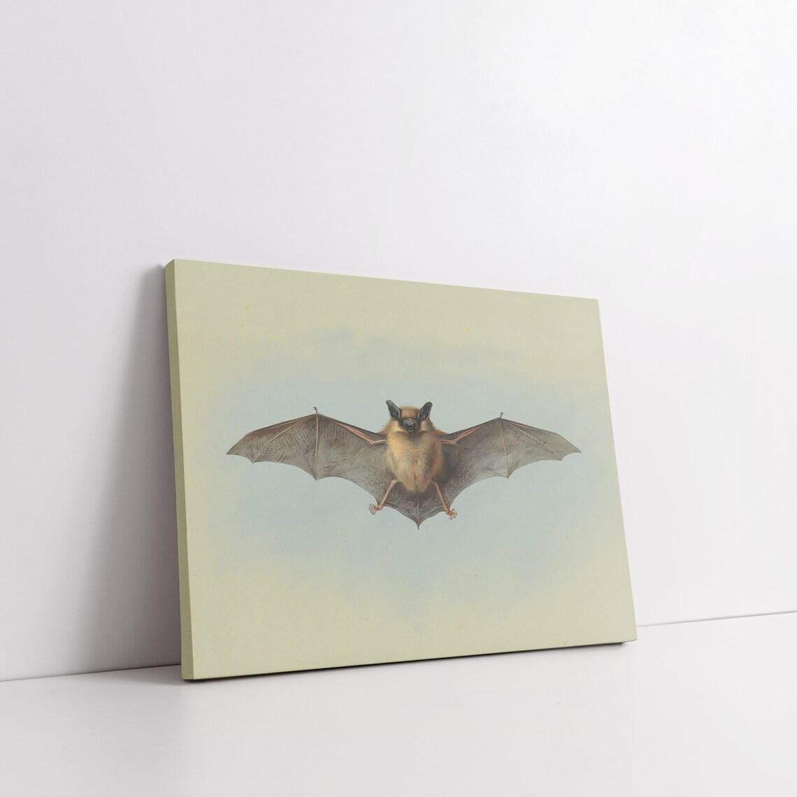Vintage Brown Bat With Spread Wings Dark Academia Nature Poster - Image 4