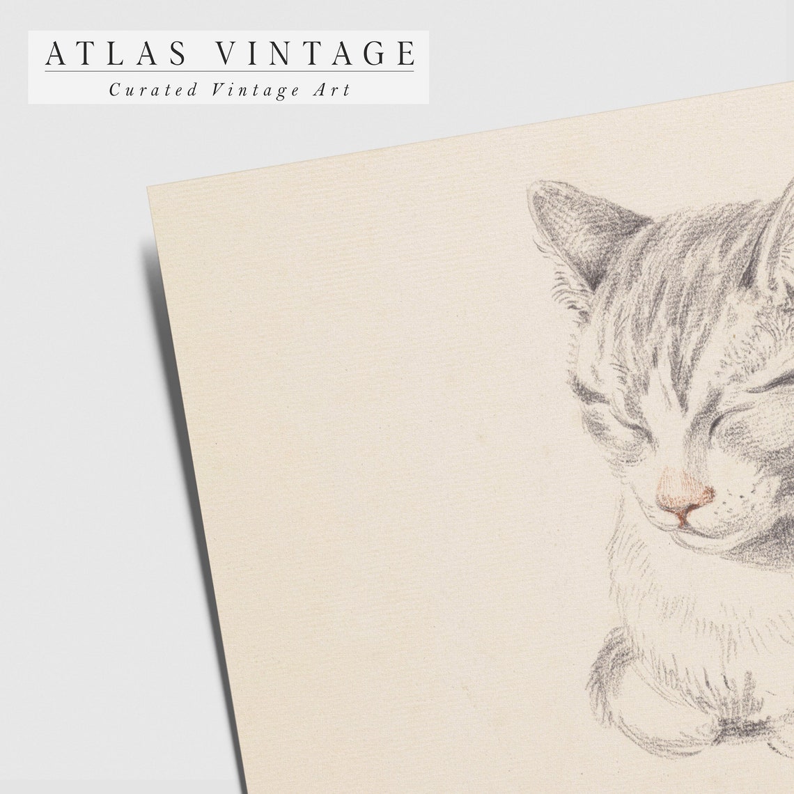 Sleeping Grey Tabby Cat Vintage Pencil Sketch Portrait Art Poster - Image 3