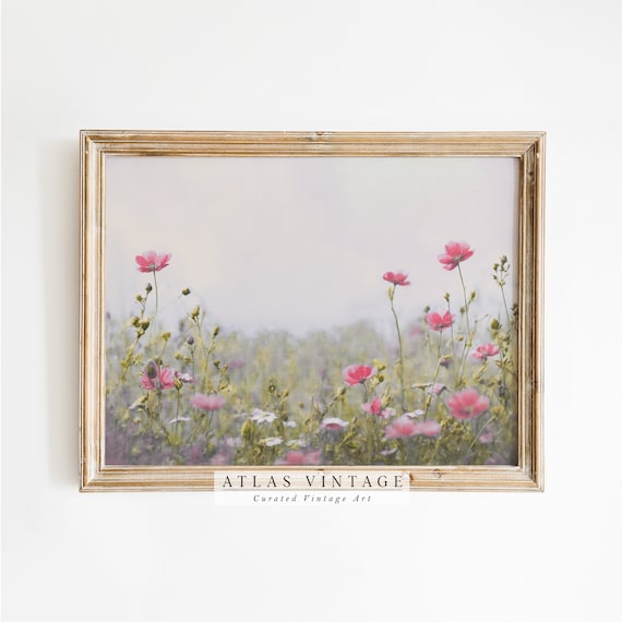 Pink Cosmos Wildflower Field Misty Morning Vintage Floral Meadow Poster