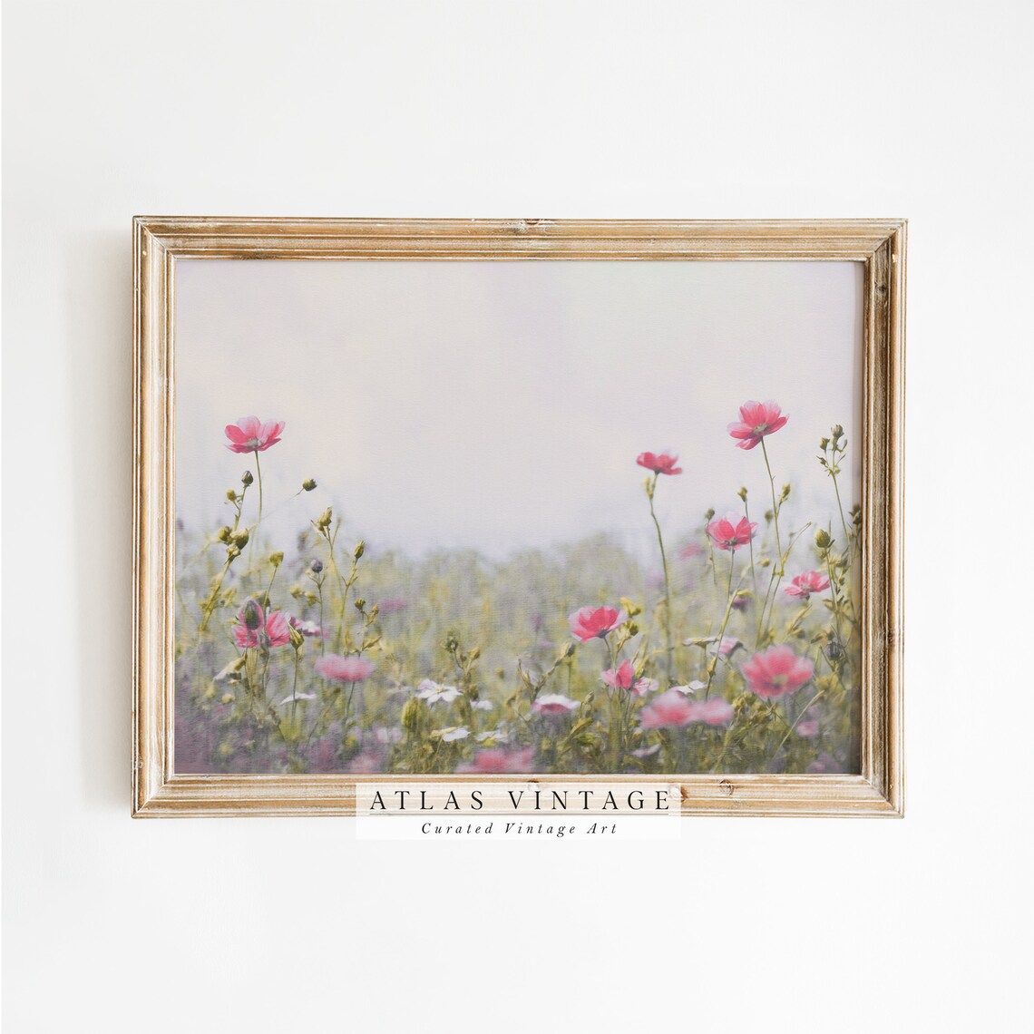 Pink Cosmos Wildflower Field Misty Morning Vintage Floral Meadow Poster