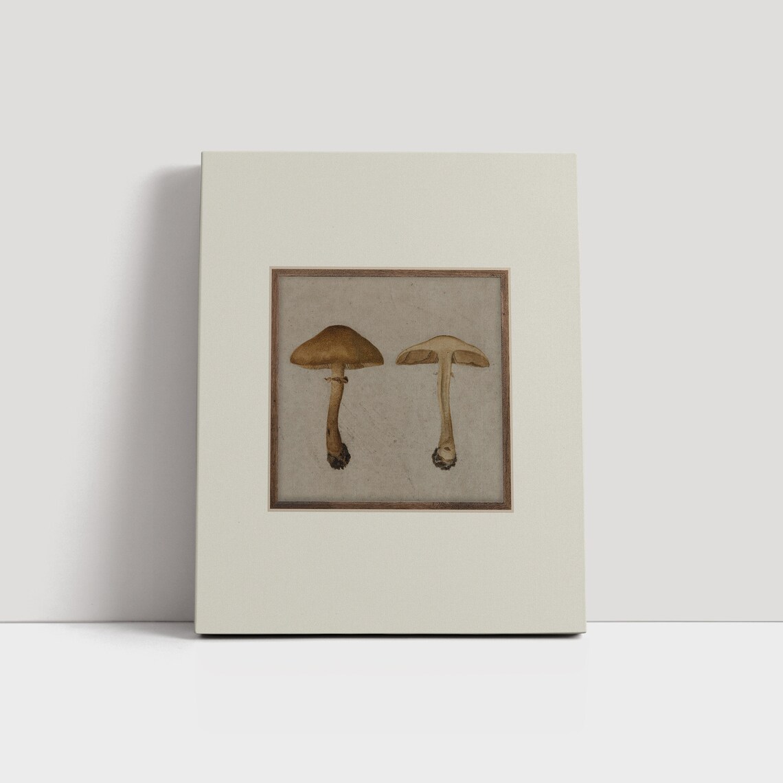Vintage Mushroom Botanical Study Antique Fall Fungi Pair Naturalist Poster - Image 4