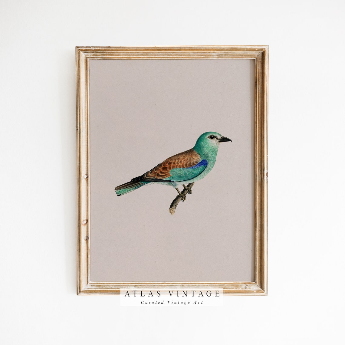 Vintage Perched Teal Bird Antique Songbird Study Painting Poster