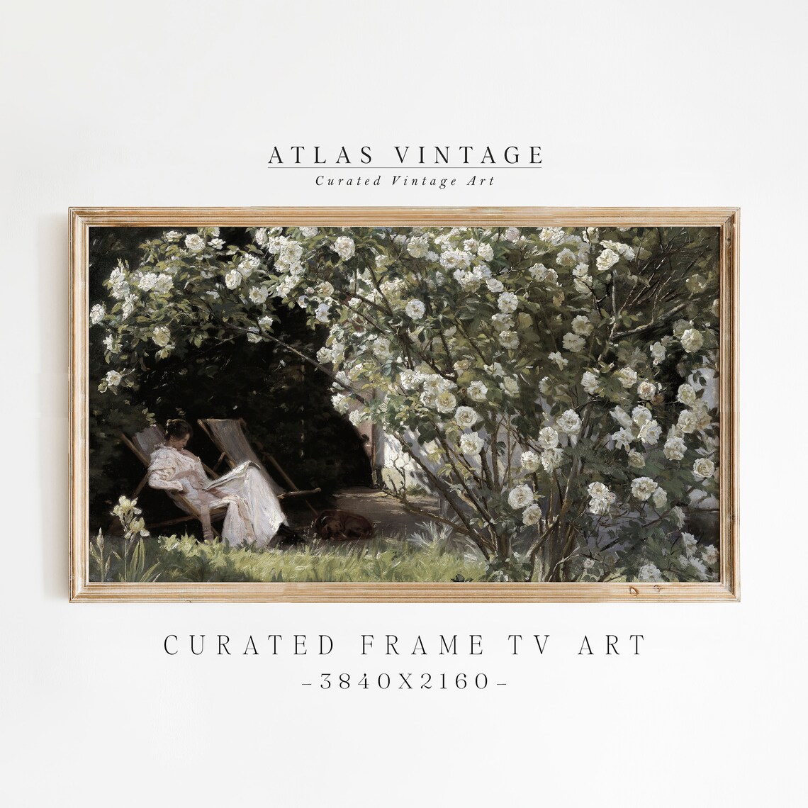 Vintage Woman Reading in Rose Garden Poster White Roses Summer
