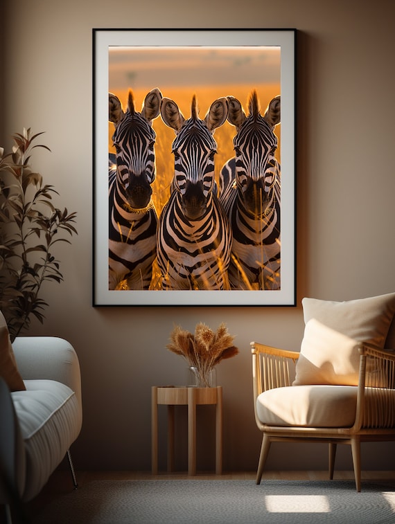 Three Zebras Facing Forward in Glowing Golden Savannah Light Poster