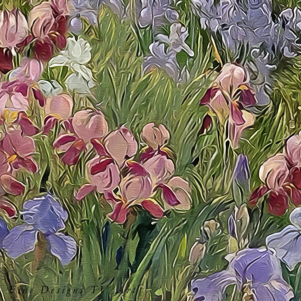 Colorful Iris Garden Purple Pink White Bloom Landscape Art Poster - Image 3