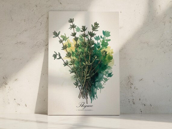 Thyme Watercolor Art Print Botanical Kitchen Decor