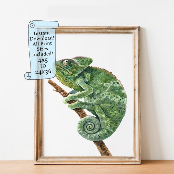 Watercolor Chameleon Wall Art Reptile Decor Lizard Animal Illustration Instant For Nature Wildlife Lovers