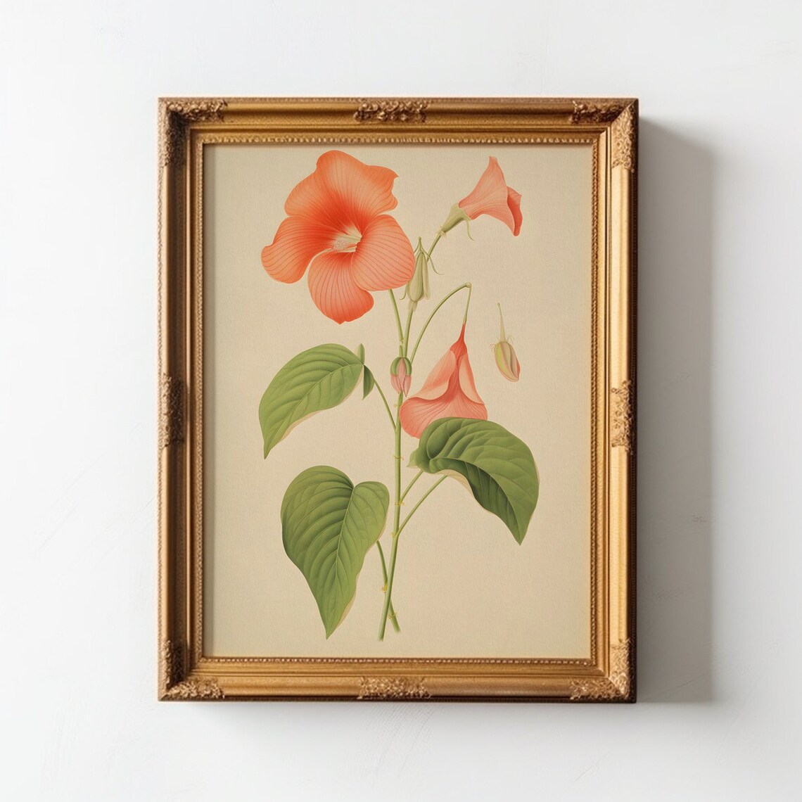 Floral Study, The Grace Of Trumpet Vines Art Print