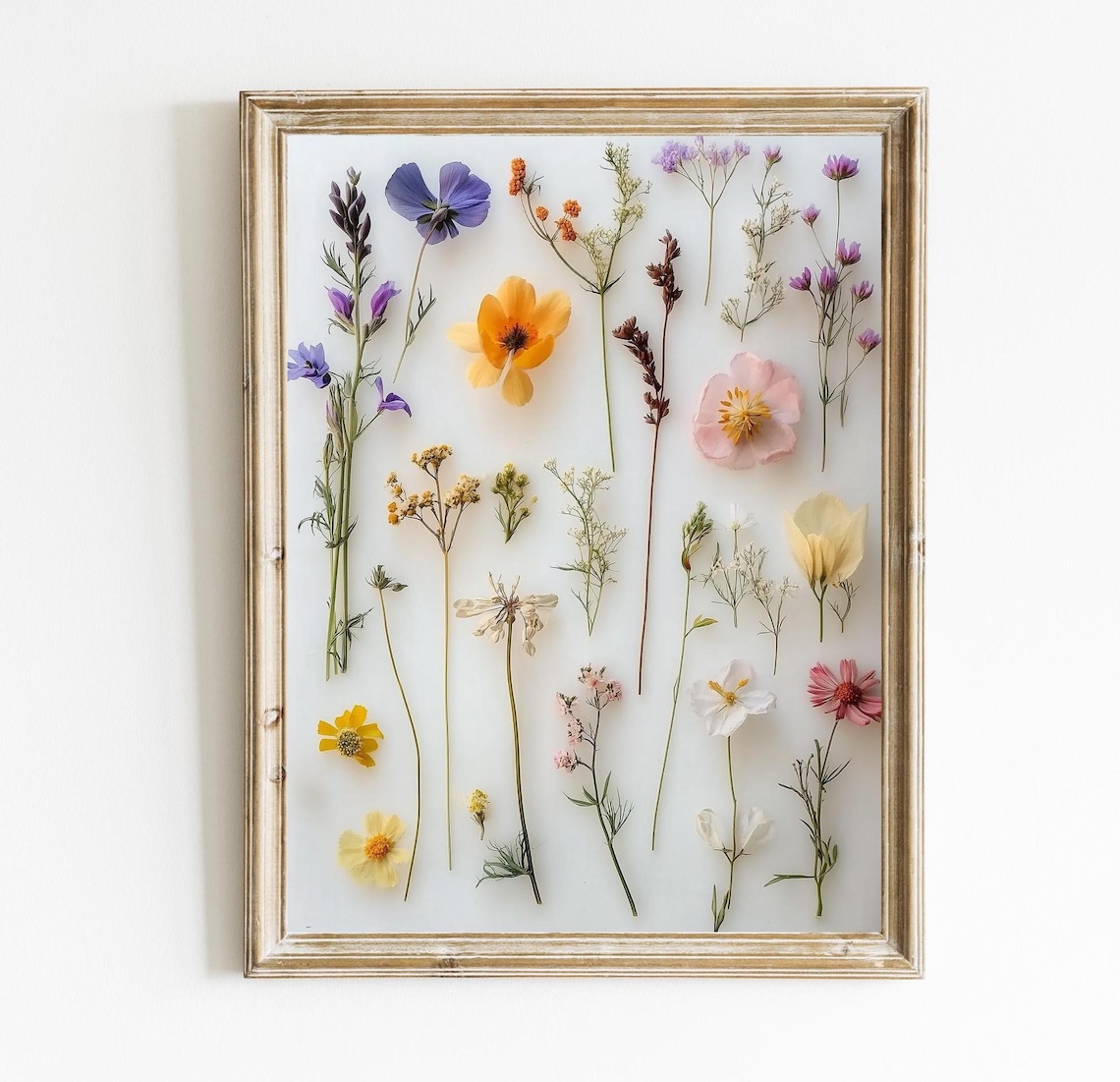 Pressed Flower Art Print Modern Floral Wall Decor Natural Home Minimalistic Nursery E426