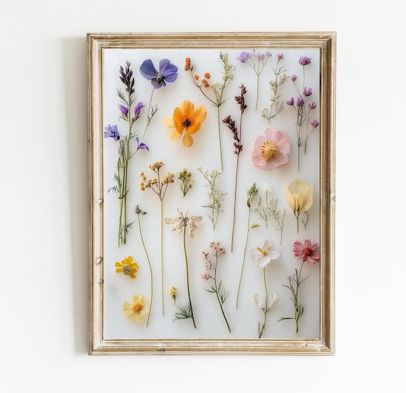Pressed Flower Art Print Modern Floral Wall Decor Natural Home Minimalistic Nursery E426